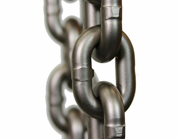 ER2 Heavy Duty Electric Chain Hoist